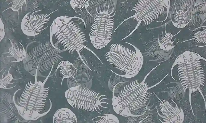 Linocut print of trilobite fossils