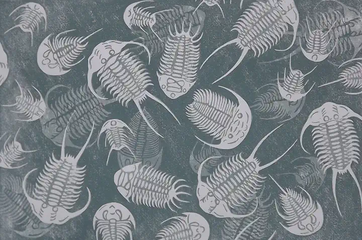 Linocut print of trilobites